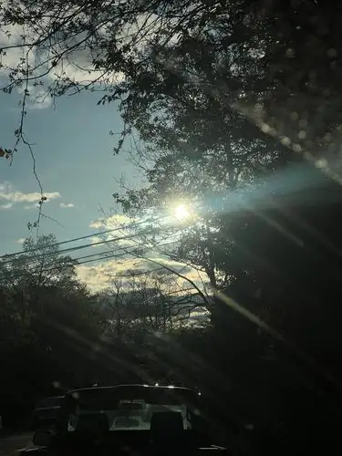 Soaking in the sun's radiant glow.